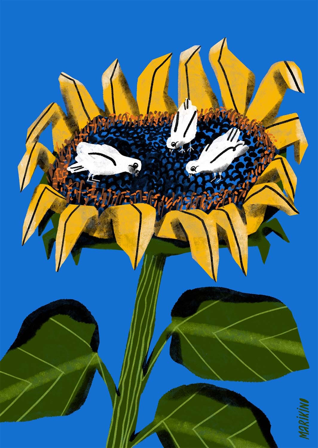 mari_kinovych_sunflower.Brcd.jpg